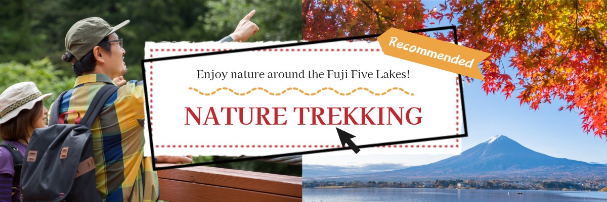 富士五湖周辺の自然を堪能するネイチャートレッキング